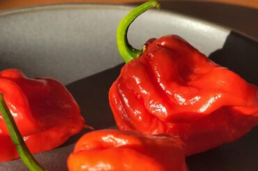 Scotch Bonnets