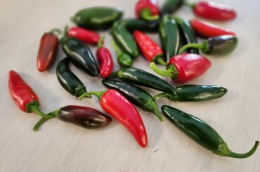 Part of a Co-Worker's latest harvest