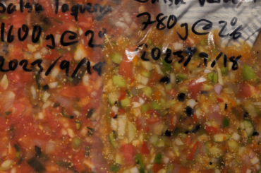 Fermented salsa for next year secured