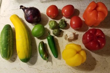 My rainbow salsa and cucumber squash salsa, and two very different flavor profiles