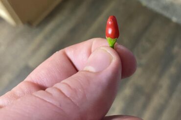 This little bastard is like reaper hot! What the hell