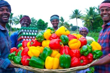 MUTTON CAPSICUM OMELETTE | Bell Pepper Omelette Recipe Cooking with Mutton Gravy | Village Cooking