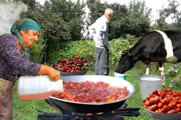Bell Pepper and Tomato Harvesting | Making Tomato Pasta & Adjika with Grandma's Recipe