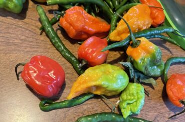 My harvest