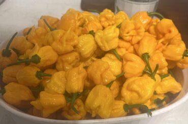 Were supposed to be Carolina reapers, not sure if it’s a yellow variety or some other super hot?