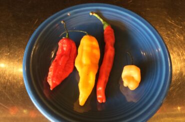 Random assortment from last day of Farmers Market