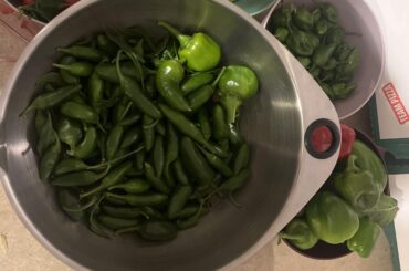 Need suggestions on what to do with all these peppers.