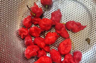 So I was told they are habaneros.