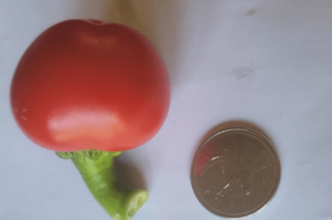 Any idea?