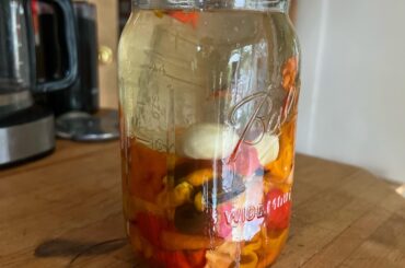 First ferment, day 3!