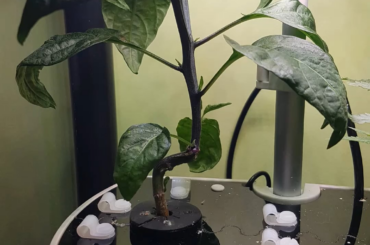 Five Months Later
