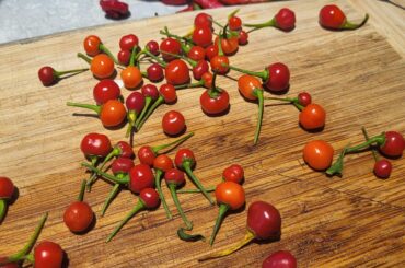 Help identifying these peppers?