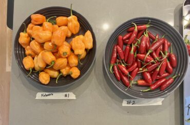 Need help identifying peppers