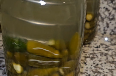 Help with fermenting peppers