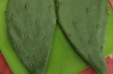Is this nopal?