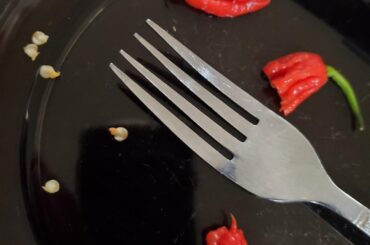 My first reaper