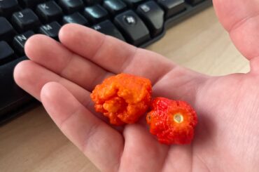 Help identifying pepper