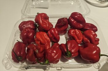 Can anyone ID these peppers?