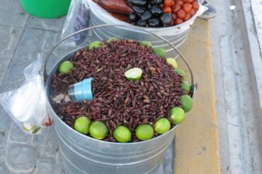 Chapulines con limon