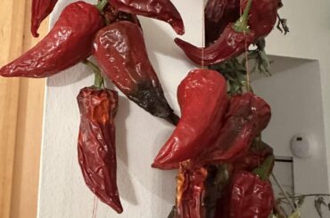 Is this normal when air drying peppers?