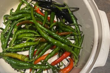 First year grown peppers and not a good outcome but I got some now what do I do with them