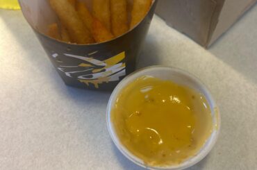 I think my TB served me the vegan cheese dip instead