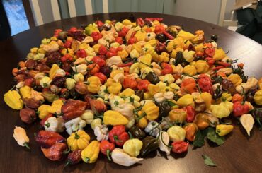 My kind of trick or treating.