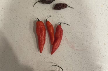 Got these at the store, can anyone help identify them?