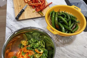 Dehydrator time!