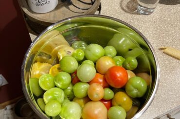 Can I make salsa with the last of my tomatoes for the year?