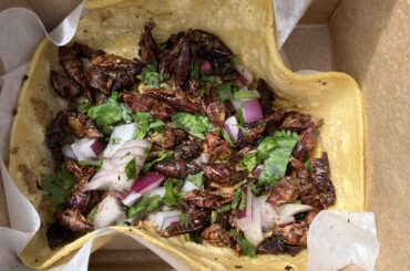 Oaxacan Cricket Taco