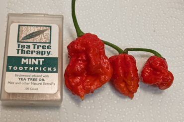 My first reapers