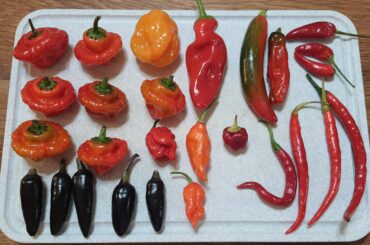 Can you help identify each of these?
