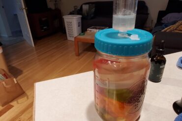 Fermenting peppers.