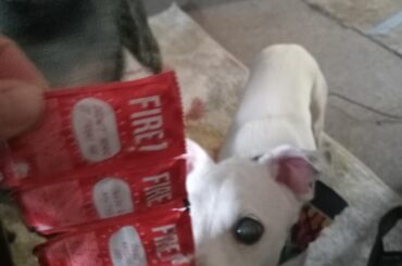 Fire sauce jackpot