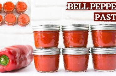 Red bell pepper paste || How to make red bell pepper paste || Paprika paste recipe