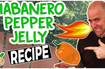 How to Make Habanero Pepper Jelly Recipe (No Glove Edition)