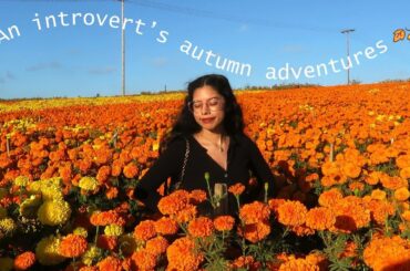 Fall days with an introvert | chili recipe, pumpkin patch, chill days at home, etc.