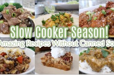 Slow Cooker Season! 6 Cozy Recipes WITHOUT Canned Soup! What's For Dinner; Crock Pot Edition
