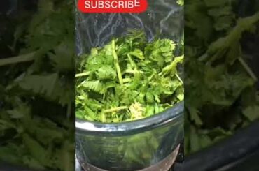 green chili chatni recipe #ytshorts #viral #chatni