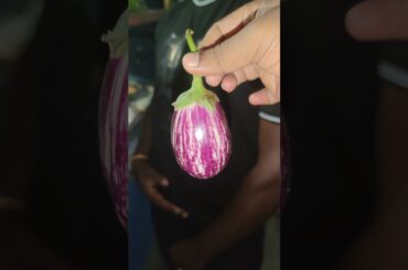Capsicum Bajji Frustration in Tirupati | Best Street food Shop near Balaji Colony Tirupati #shorts