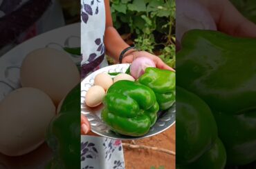 Capcicum omelette  Recipe #shorts #viral