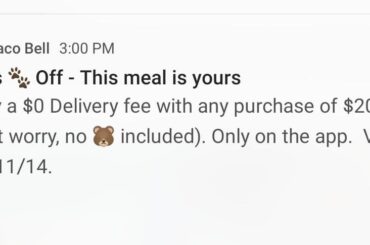 No bears included?