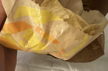 Why do my chips taste like oily burnt earwax?