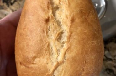 Homemade Bolillo Quest: How it started vs How it’s going