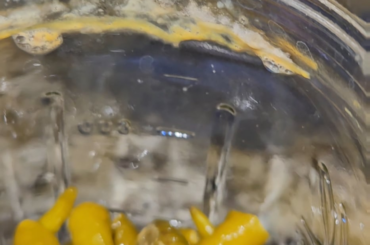 Can anyone tell me of this is kham or mold? The jars smell like ferment but they don't smell off