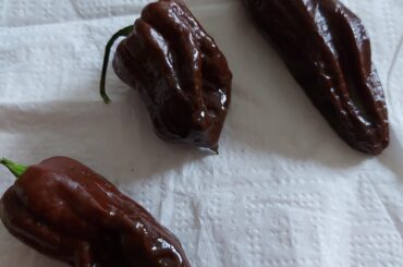 Please Identify these peppers