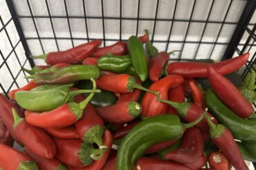 ‘Green Chiles’ ID