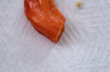 Pepper ID please!
