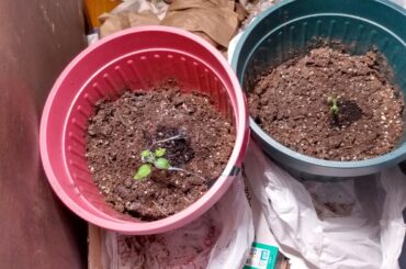 Is Managing Humidity a Problem?